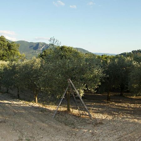 Venterol  Mas Provencal La Serallere Au Coeur Des Oliviers מראה חיצוני תמונה