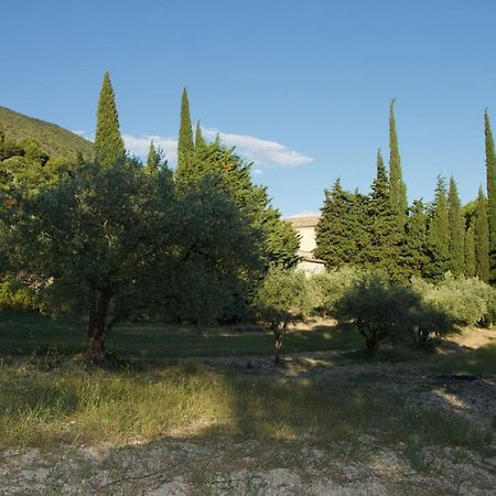 Venterol  Mas Provencal La Serallere Au Coeur Des Oliviers מראה חיצוני תמונה