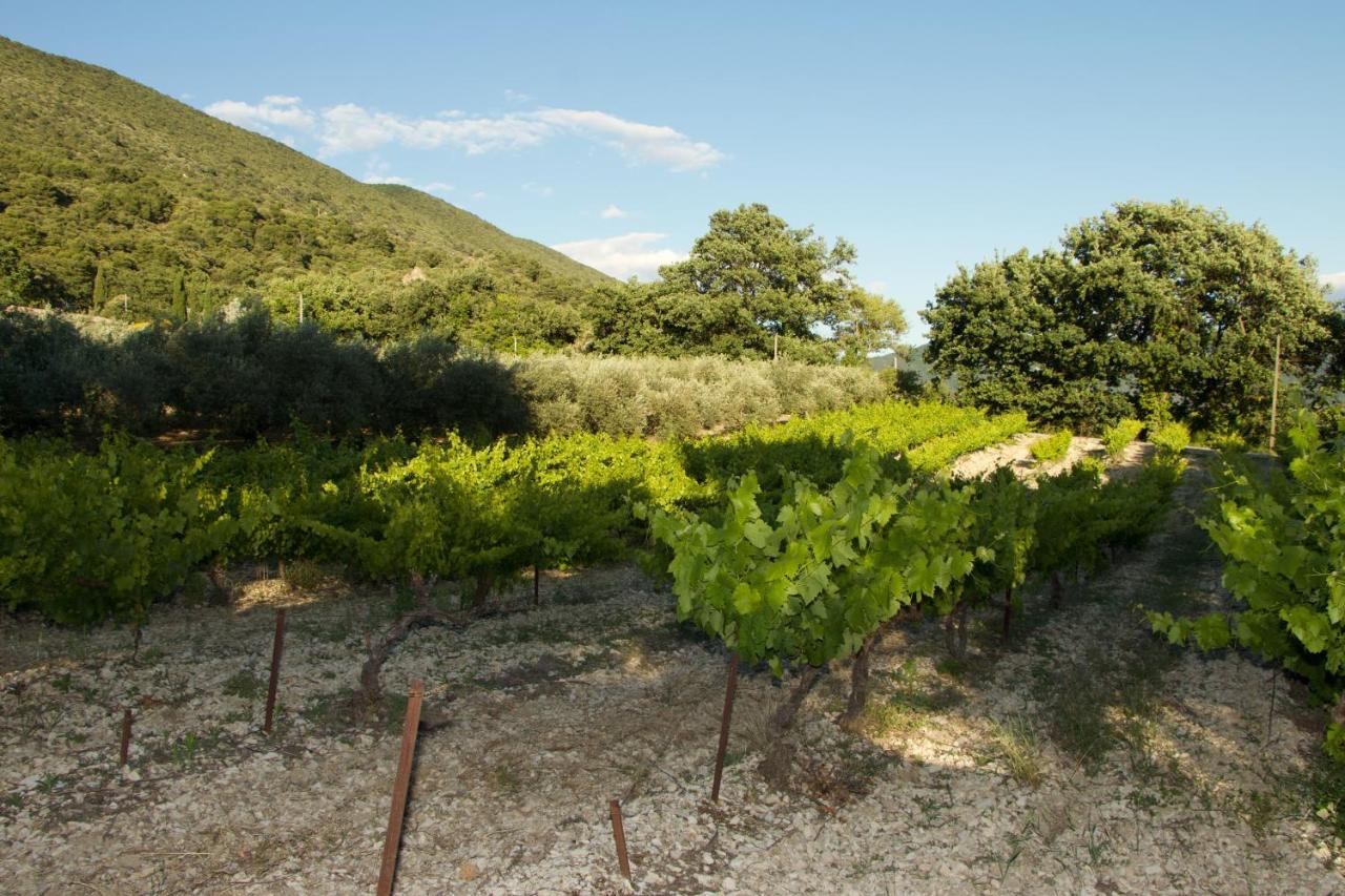 Venterol  Mas Provencal La Serallere Au Coeur Des Oliviers מראה חיצוני תמונה