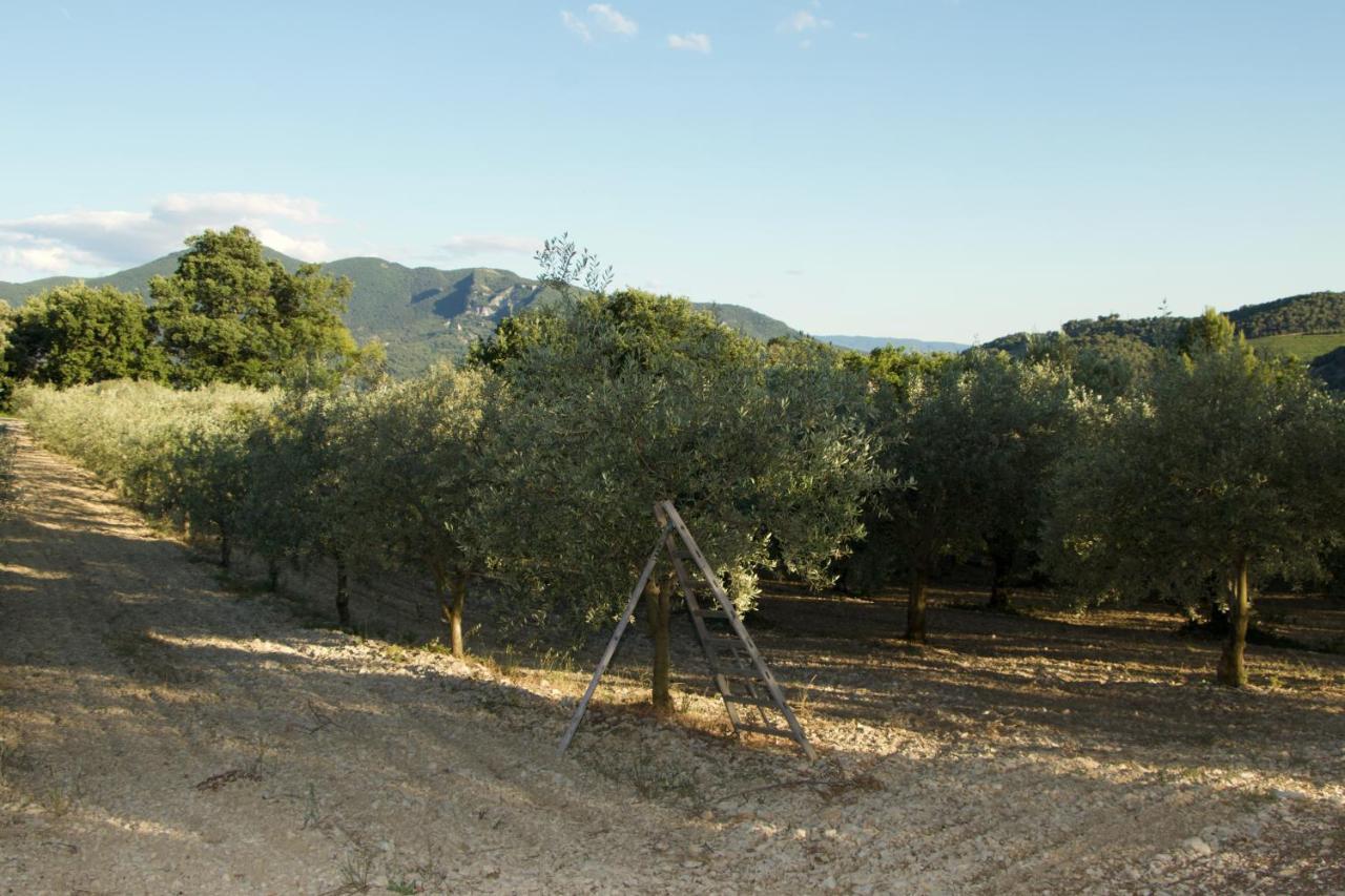 Venterol  Mas Provencal La Serallere Au Coeur Des Oliviers מראה חיצוני תמונה
