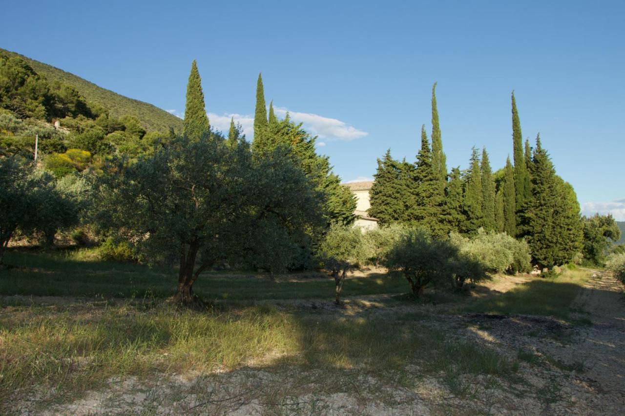 Venterol  Mas Provencal La Serallere Au Coeur Des Oliviers מראה חיצוני תמונה