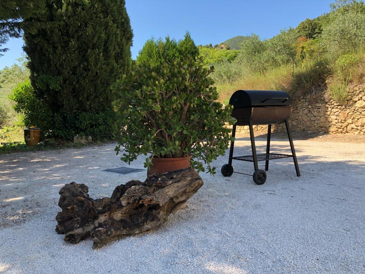 Venterol  Mas Provencal La Serallere Au Coeur Des Oliviers מראה חיצוני תמונה